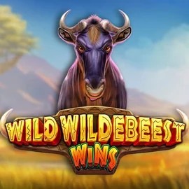 Wild Wildebeest Wins slot icon by Pragmatic Play, available at AllySpin Casino